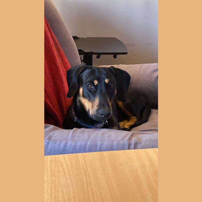Photo of Tinki