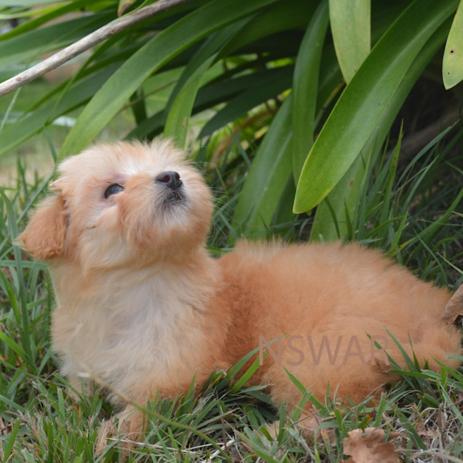 Photo of Matilda