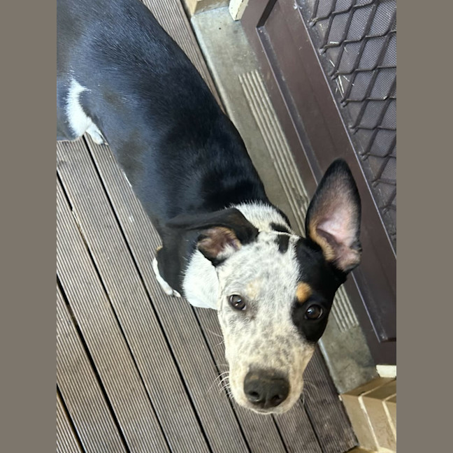 Photo of Jack