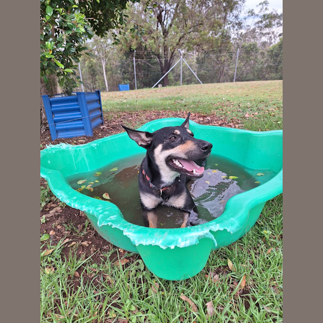 Photo of Roxi