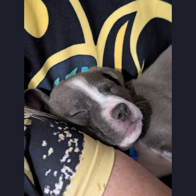 Photo of Pancake 