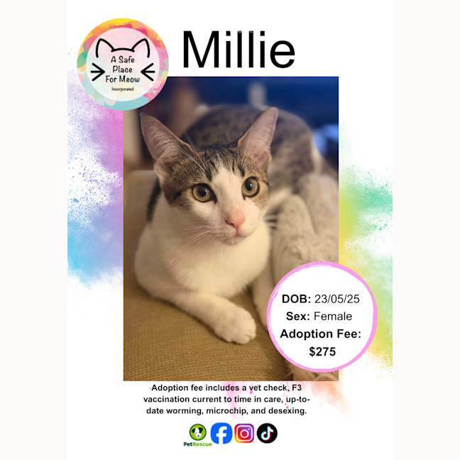 Photo of Millie
