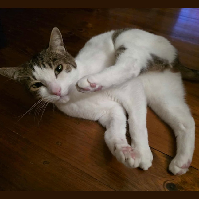 Photo of Jimmy! ❤️ 