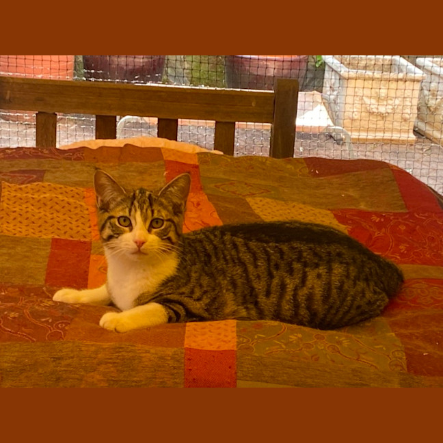 Photo of Tammy