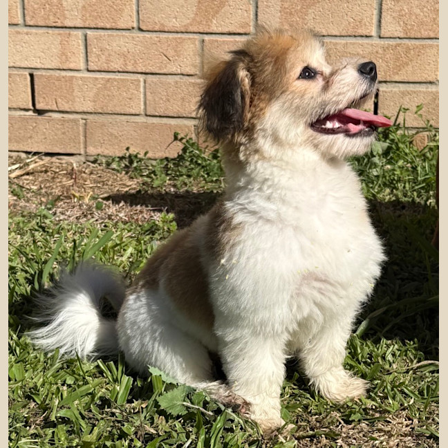 Photo of Wilbur