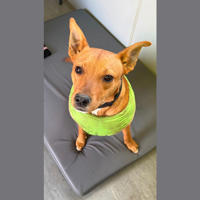 Photo of Reggie