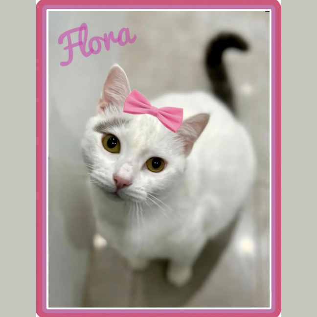 Photo of Flora