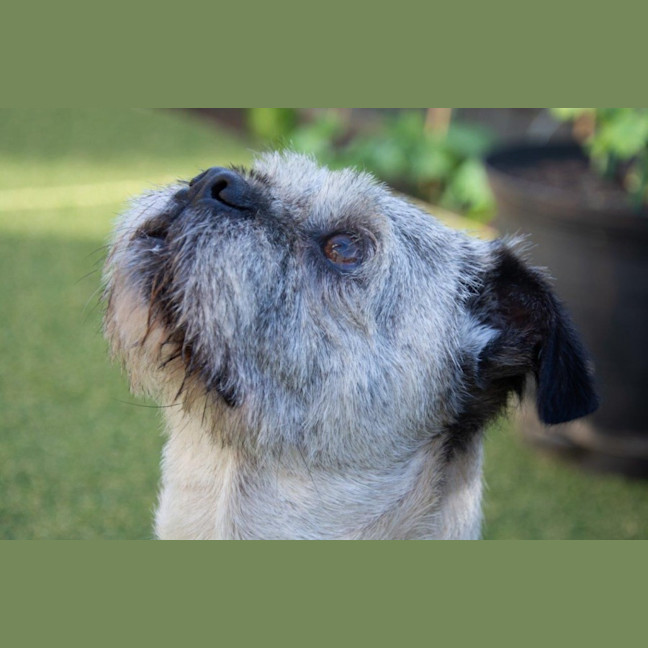 Photo of Molly Wensleydale