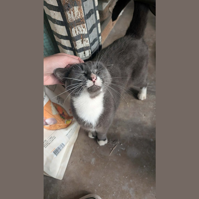 Photo of Butternut