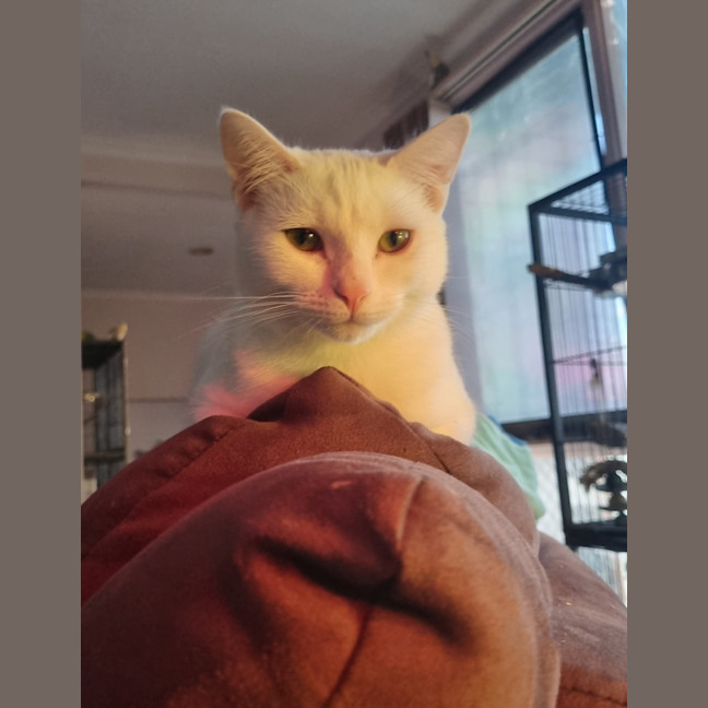 Photo of Finnick