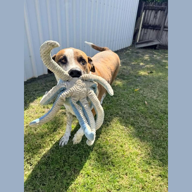 Photo of Roxie