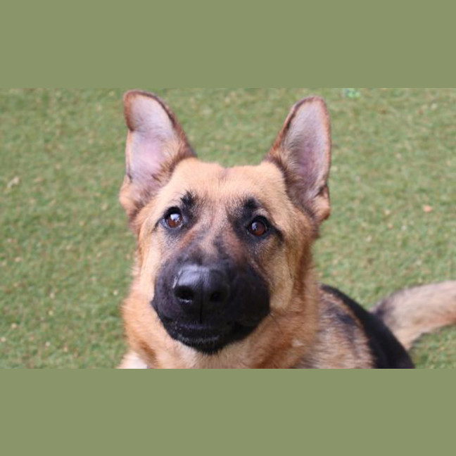 Photo of Agatha