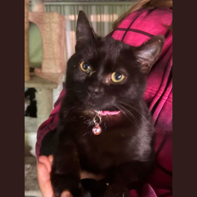 Photo of Hazel