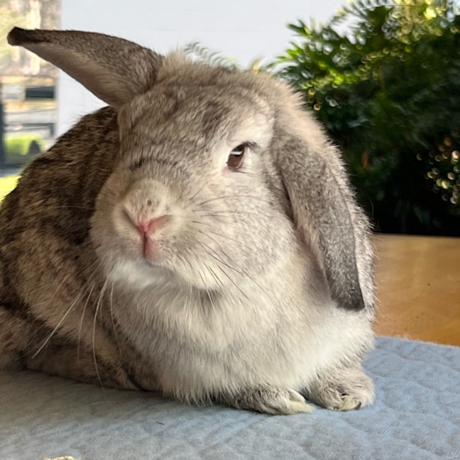 Photo of Marnie Grey