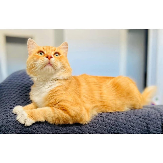 Photo of 11741   Benny