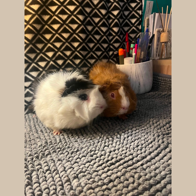 Photo of Cruise & Miles
