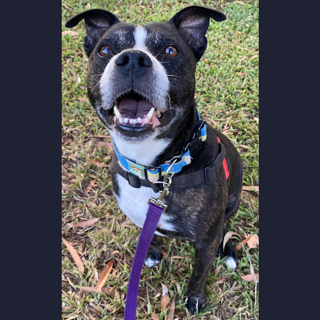 Photo of Bentley