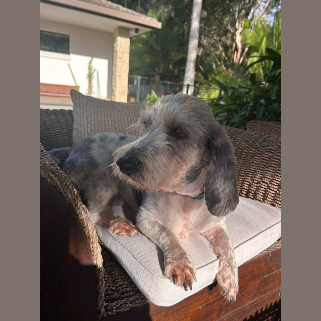Photo of Rocky