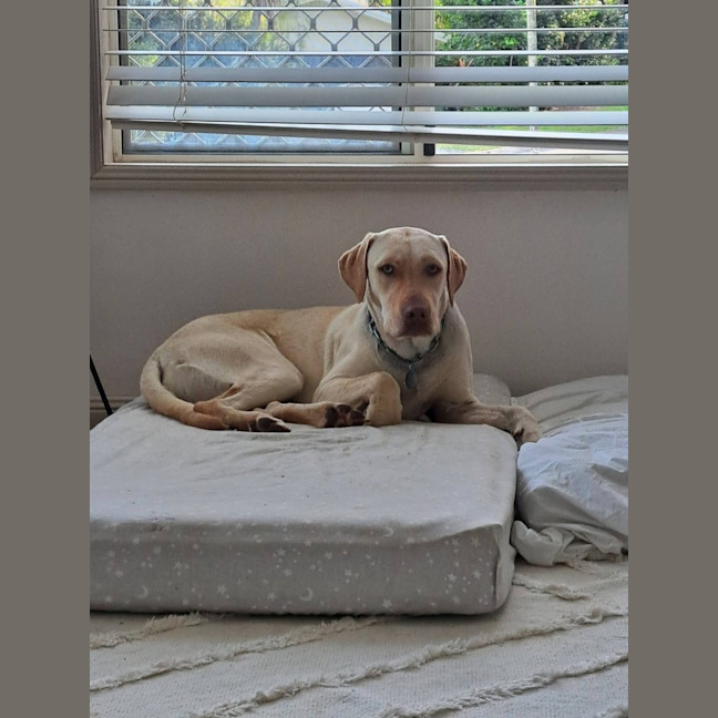 Photo of Bingo