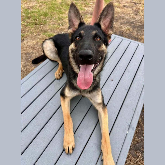 Photo of Kingston