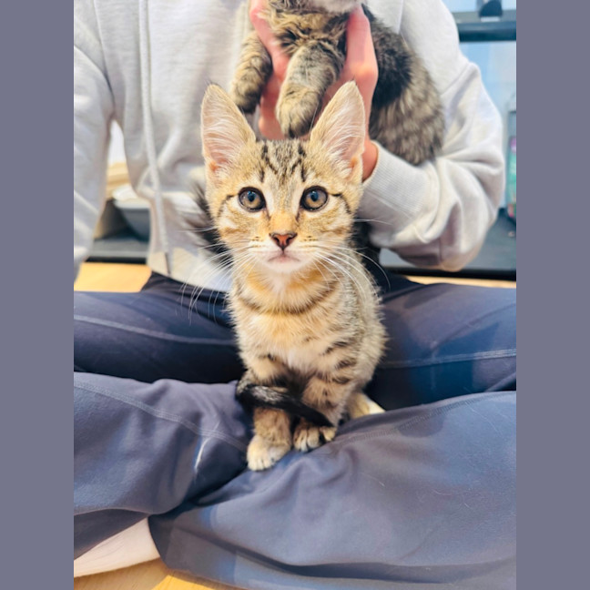 Photo of Louie