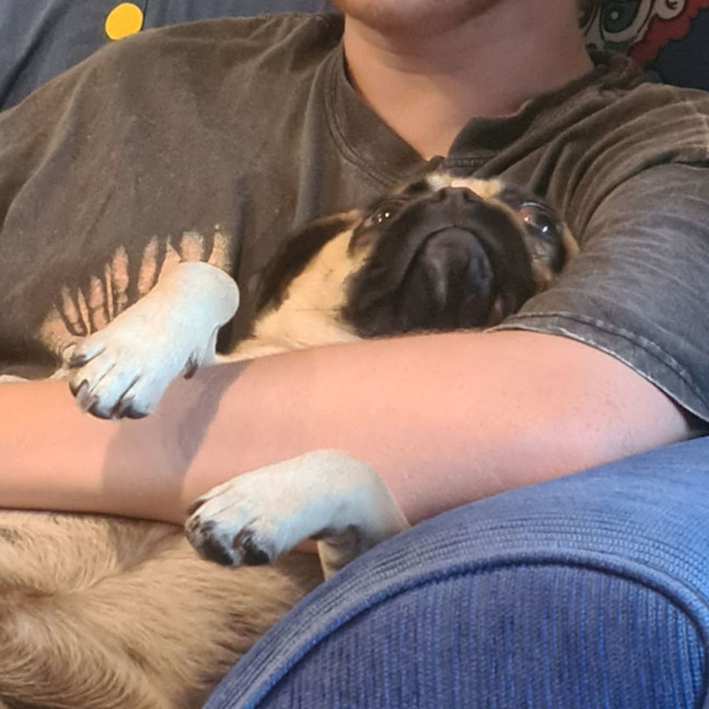 Photo of Marley
