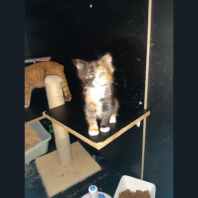 Photo of Purty&Precious