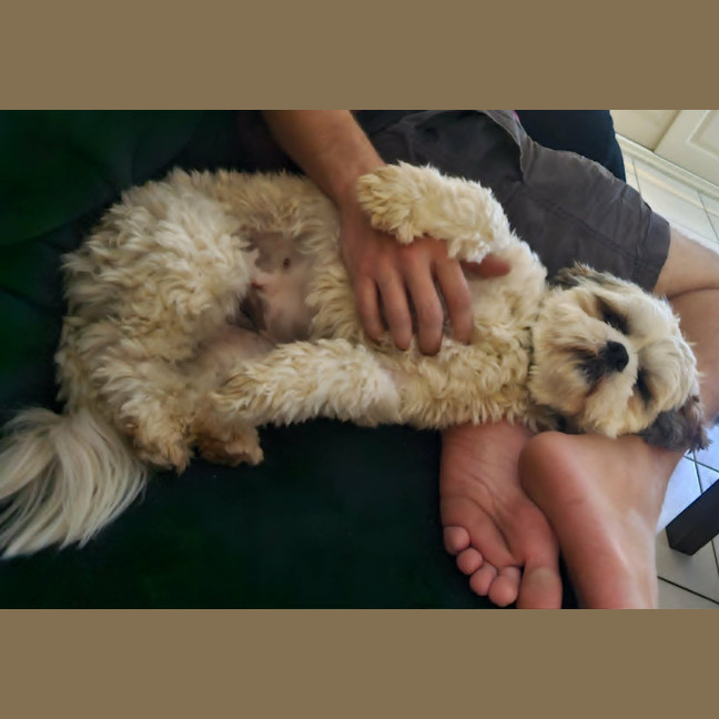 Photo of Peaches