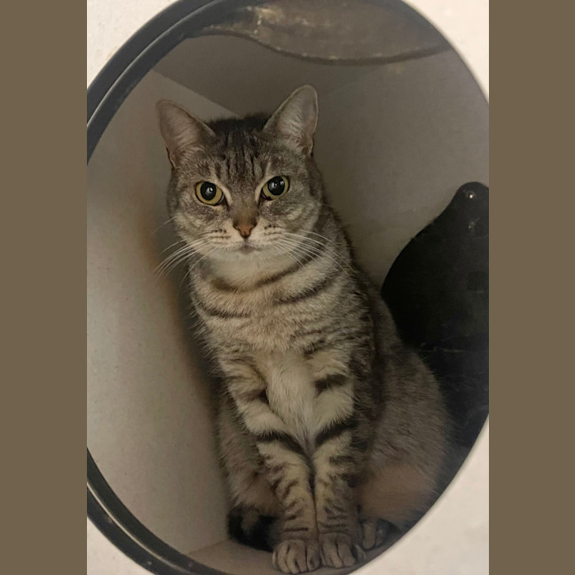 Photo of Lucy
