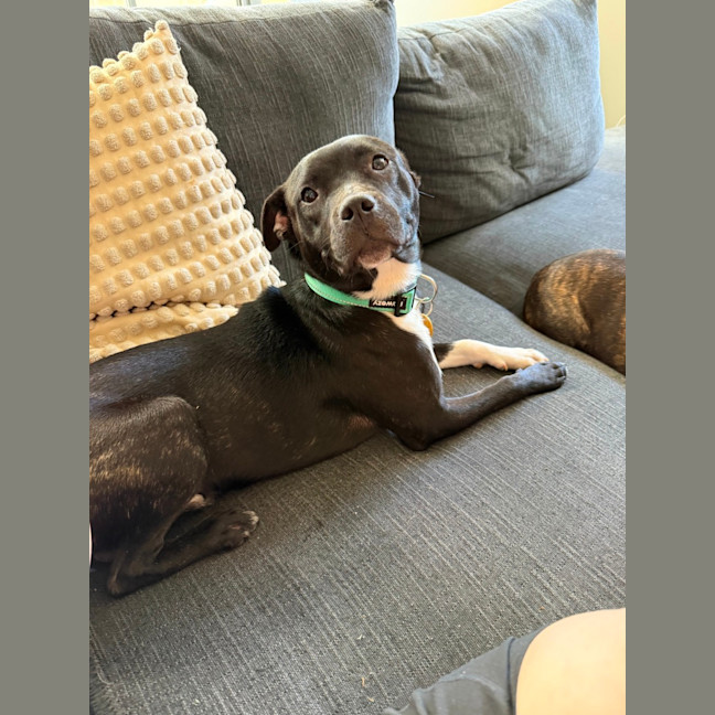 Photo of George Costanza