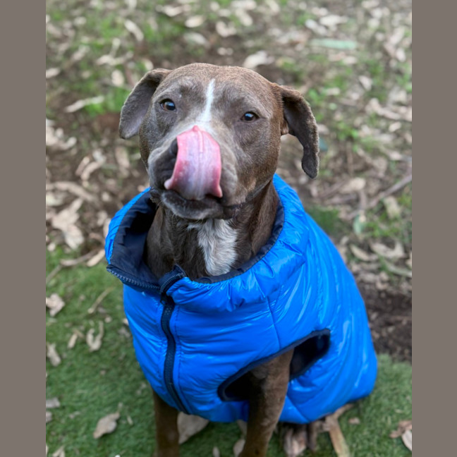 Photo of Moxie