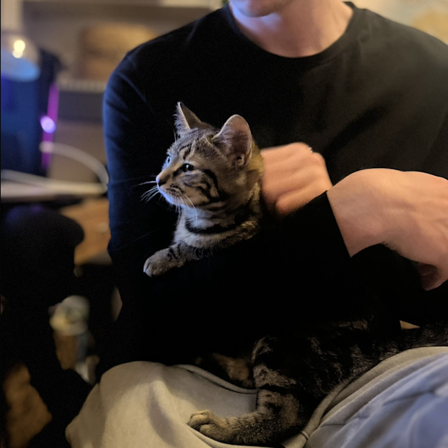 Photo of Sapphire