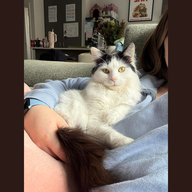 Photo of Wanda
