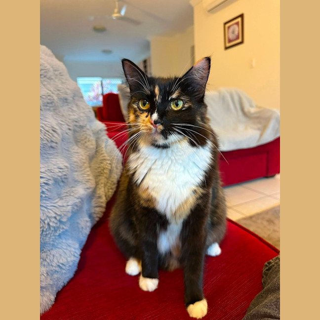 Photo of Willow And Jasper