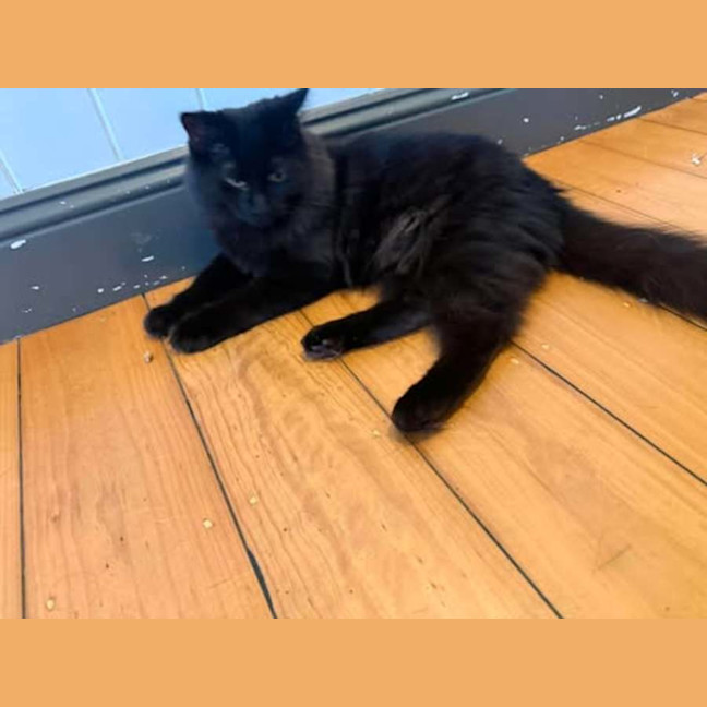 Photo of Jude 