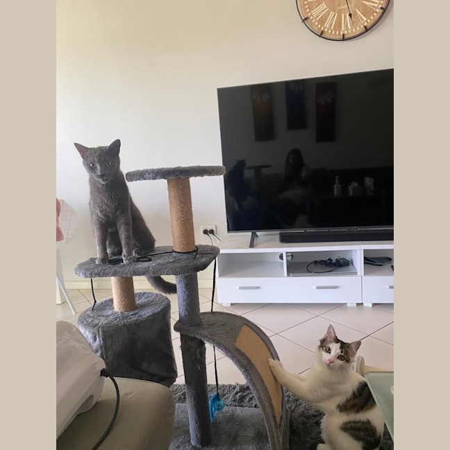 Photo of Nori & Nina