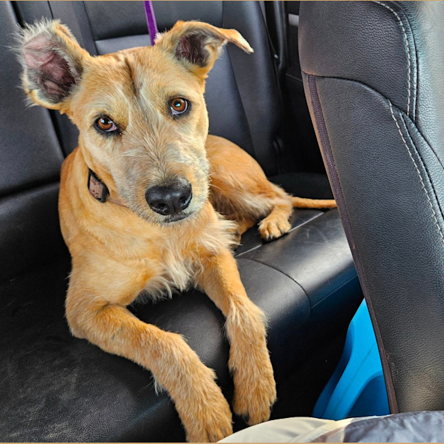 Photo of Betty
