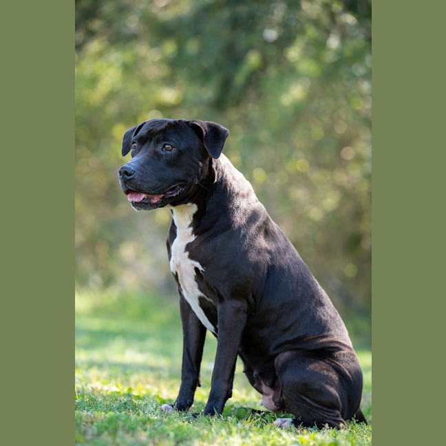 Photo of Roxy