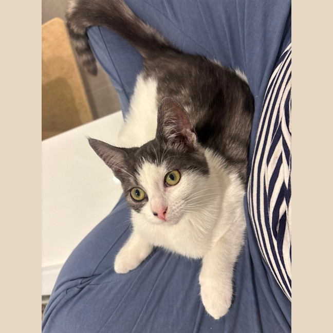 Photo of  Ranger 📣