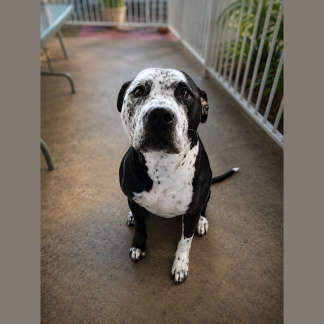 Photo of Zeus