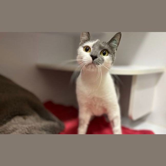 Photo of Eloise