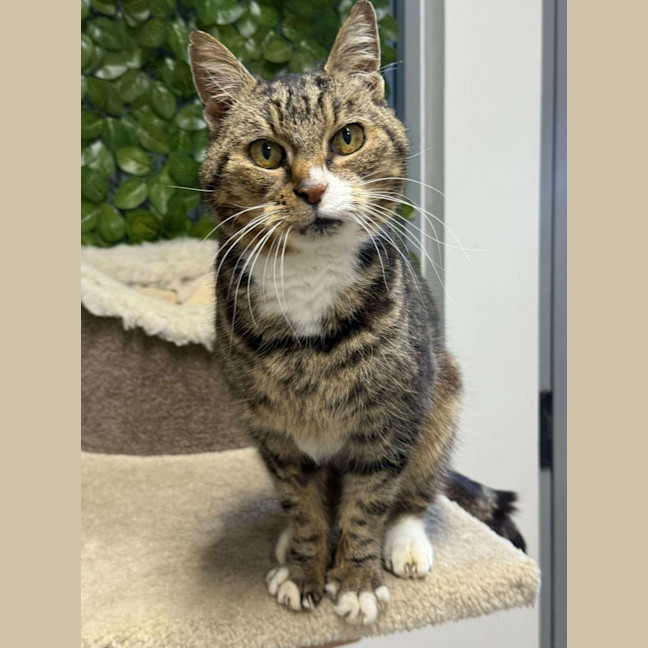 Photo of 🌱 Mochi 6381 🌱