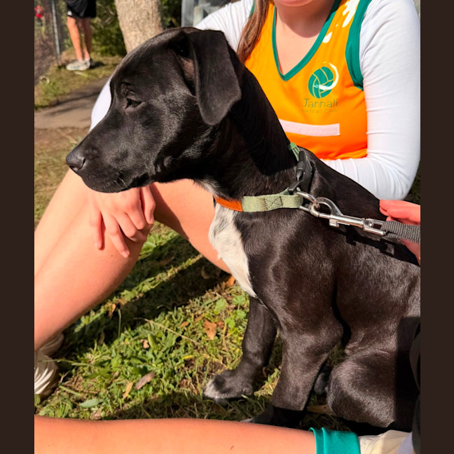 Photo of Coco