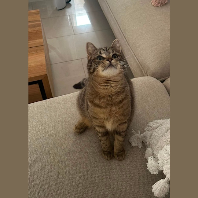 Photo of Peggy