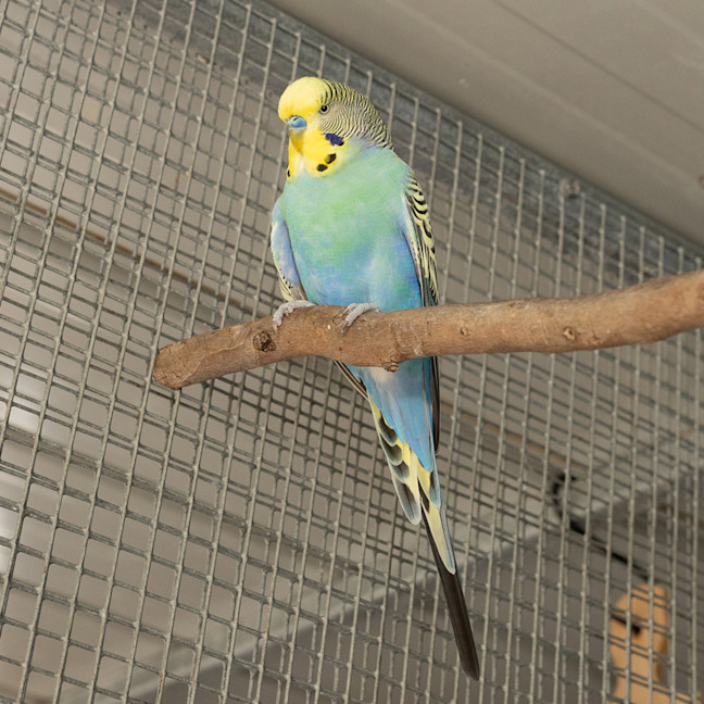 Photo of Steve