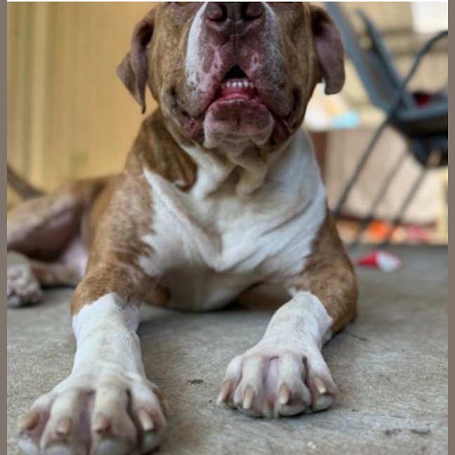 Photo of Murphy