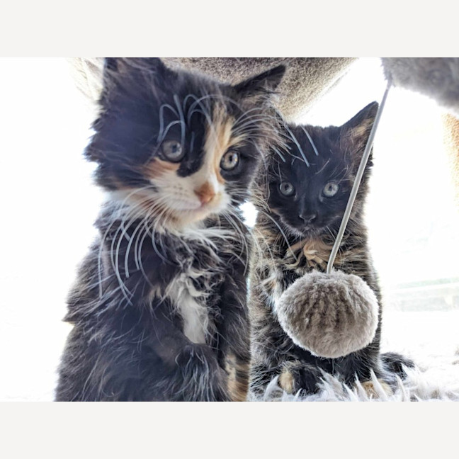 Photo of Ella & Nina 🌷🌷