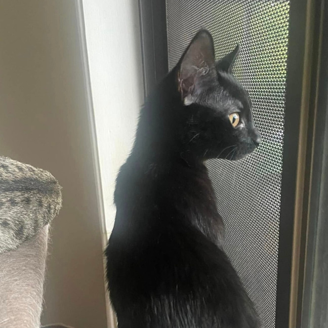 Photo of Purretha Franklin