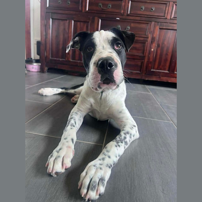 Photo of Billy 