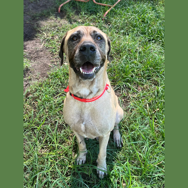 Photo of Roxy